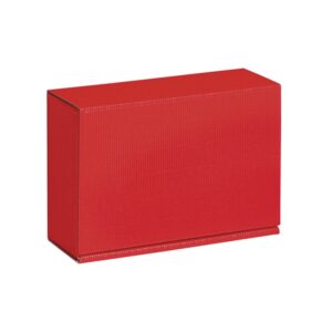 50 x Geschenkbox 220 x 149 x 75 mm (Rot)