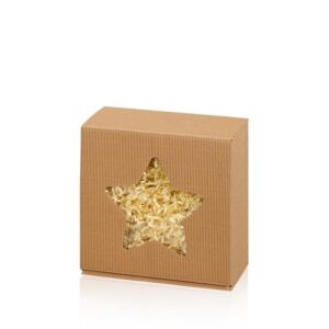 25 x Geschenkbox "Modern Nature Stern" Größe S mit Folienfenster 200 x 20