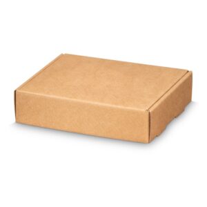 50 x Geschenkbox "Natura Pur" 205 x 170 x 50 mm