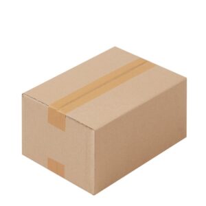 25 x Faltkarton 250 x 175 x 100 mm