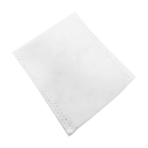 Vlies- Flachbeutel 250 x 350 mm