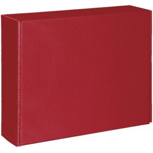 20 x Delikatessenkarton "Weihnachten" 448 x 374 x 120 mm