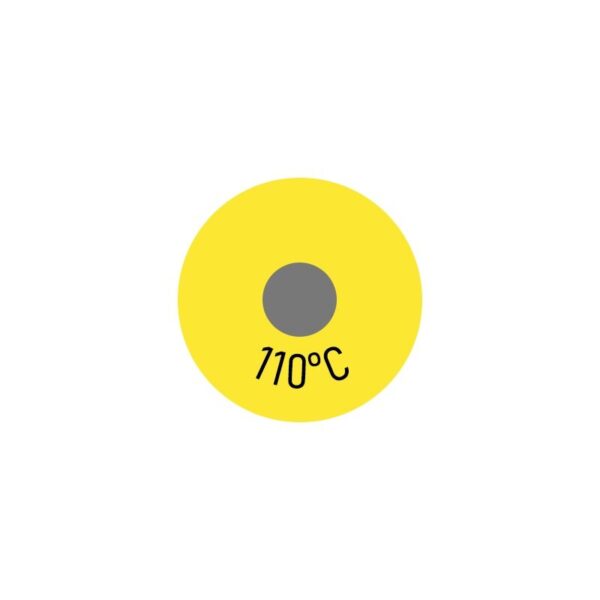 250 x Einzelmesspunkt 110 °C