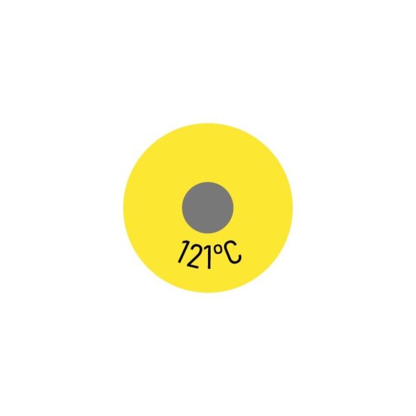 250 x Einzelmesspunkt 121 °C