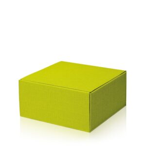 25 x Geschenkbox "Modern Limette" Größe M 250 x 250 x 120 mm