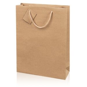 20 x Geschenktüte 270 x 85 x 360 mm (natur)