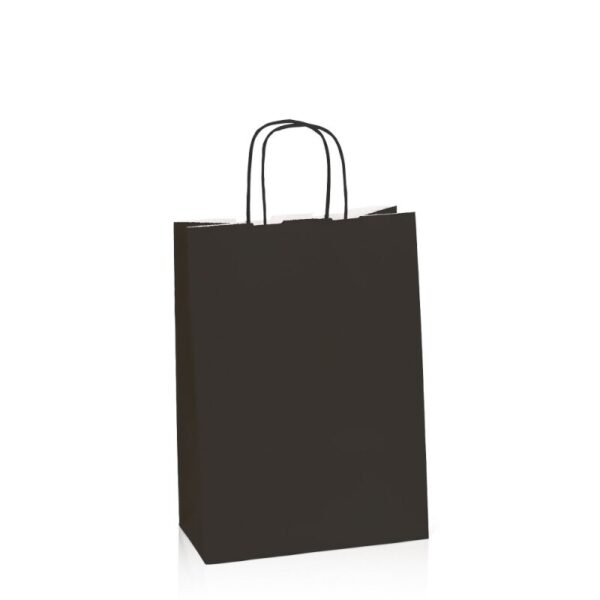 250 x Papiertragetasche 220 x 100 x 310 mm (schwarz)